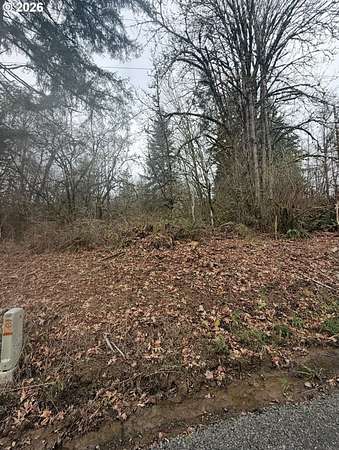 0.18 Acres of Land for Sale in Rainier, Oregon