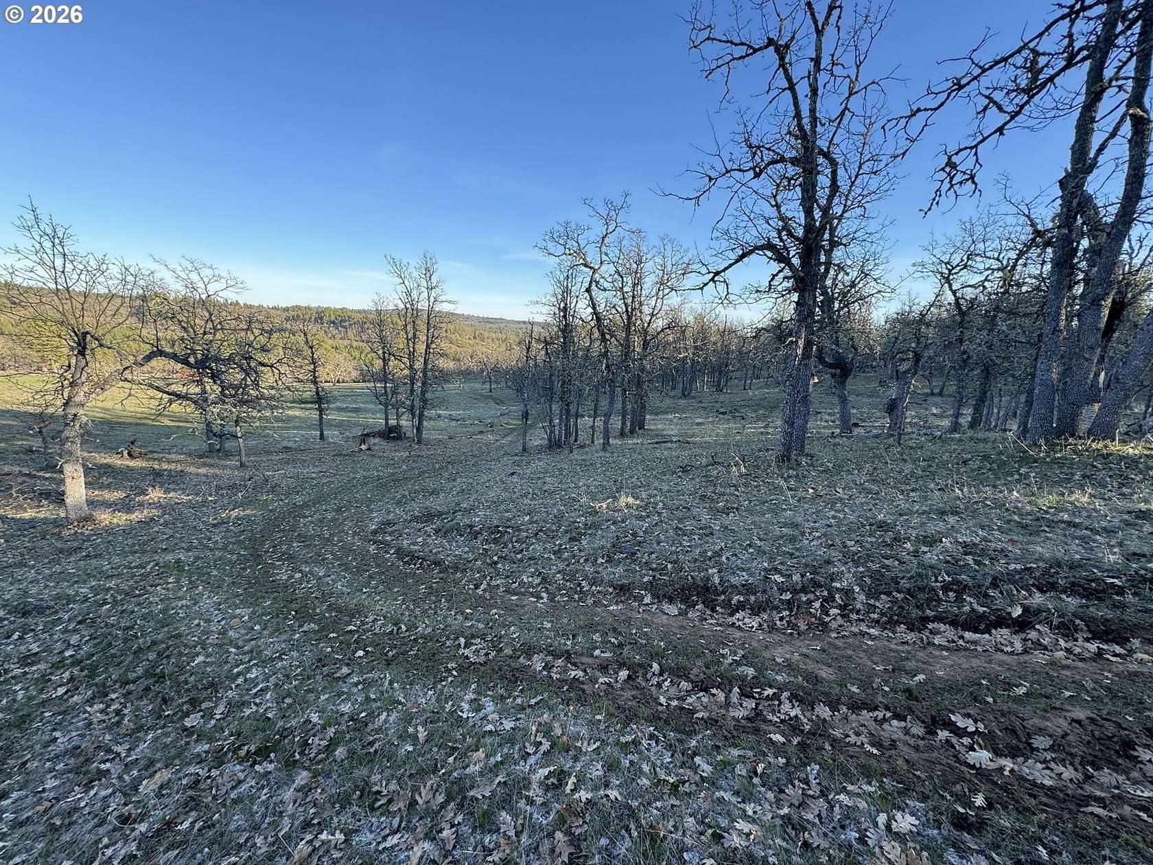 5 Acres of Land for Sale in Goldendale, Washington