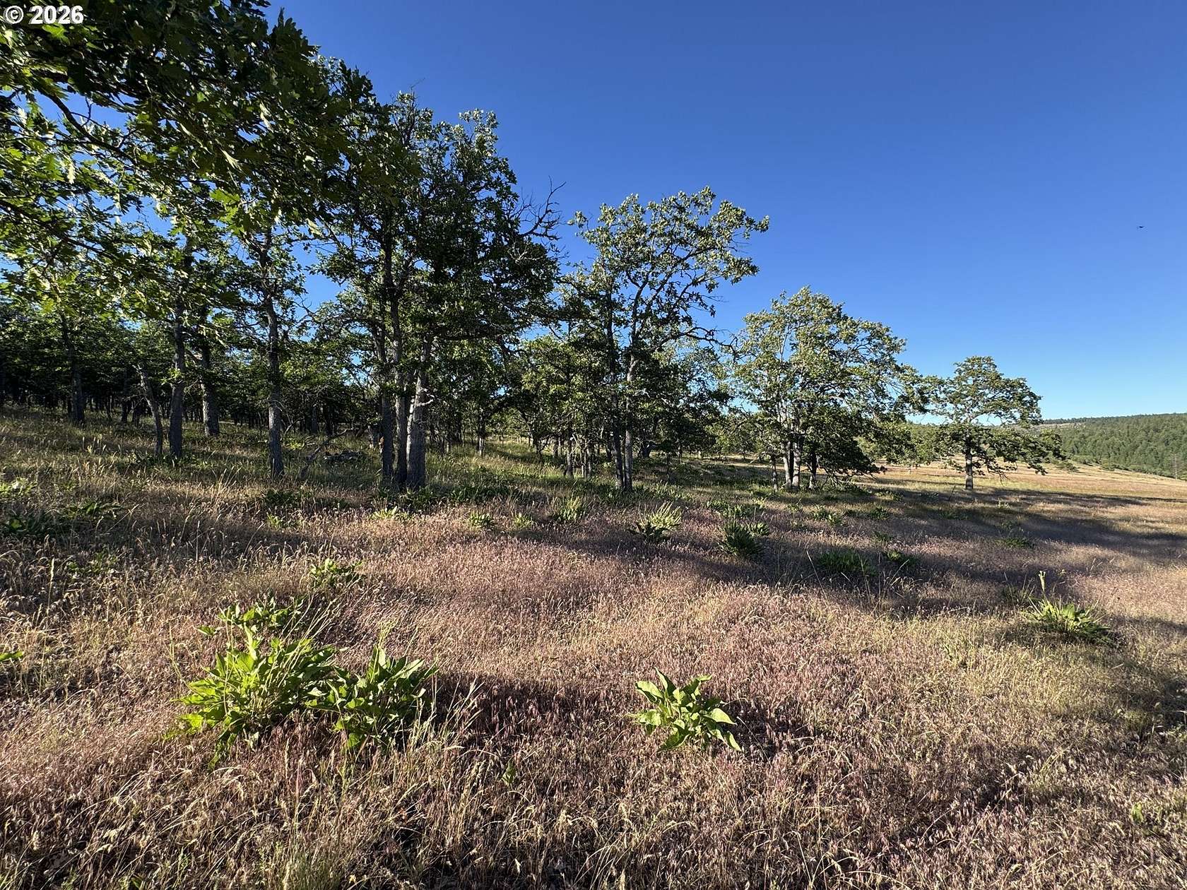5 Acres of Land for Sale in Goldendale, Washington