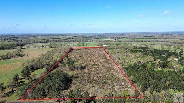 40.3 Acres of Recreational Land for Sale in De Kalb, Texas