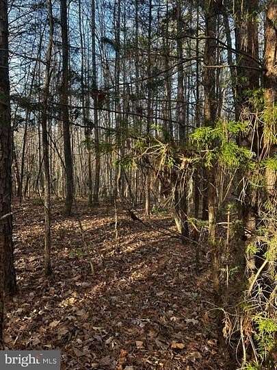 3 Acres of Land for Sale in Scottsburg, Virginia