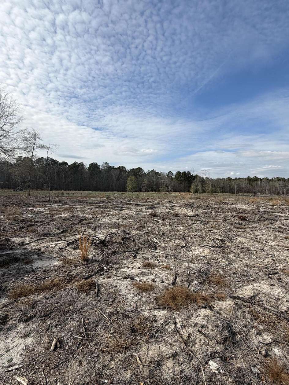 20.3 Acres of Recreational & Residential Land for Sale in Barnwell, South Carolina