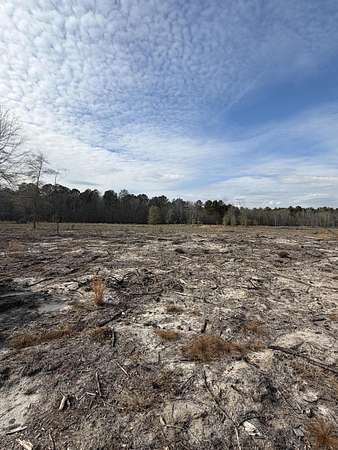 20.3 Acres of Recreational & Residential Land for Sale in Barnwell, South Carolina