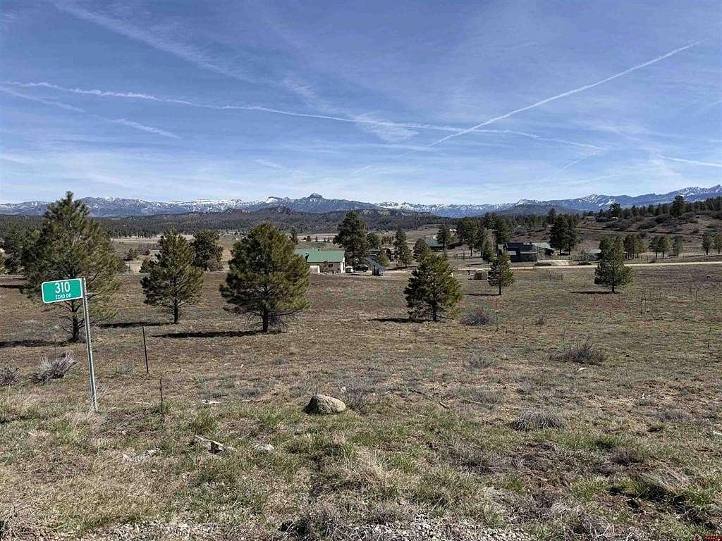 3 Acres of Residential Land for Sale in Pagosa Springs, Colorado