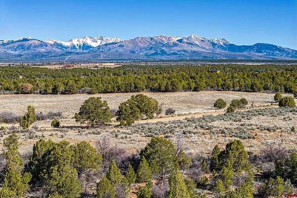 43 Acres of Land for Sale in Hesperus, Colorado