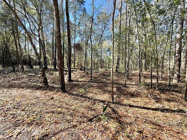 1 Acre of Residential Land for Sale in Bainbridge, Georgia
