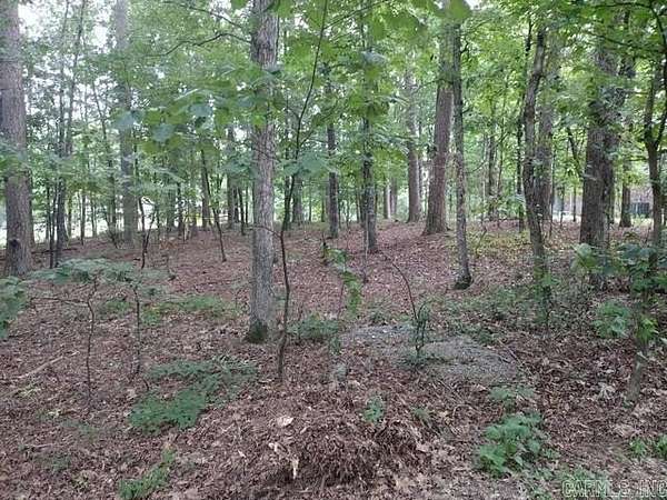 0.28 Acres of Residential Land for Sale in Hot Springs Village, Arkansas