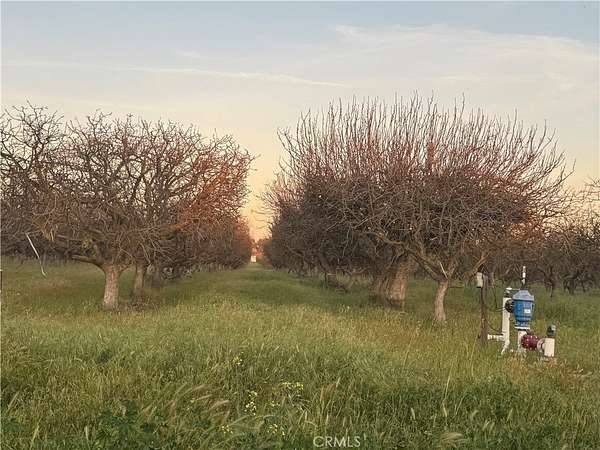 20 Acres of Land for Sale in Madera, California