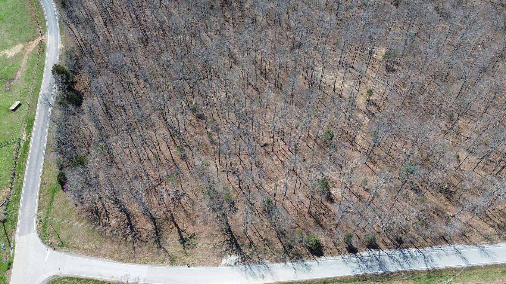 92 Acres of Land for Sale in Bowling Green, Kentucky