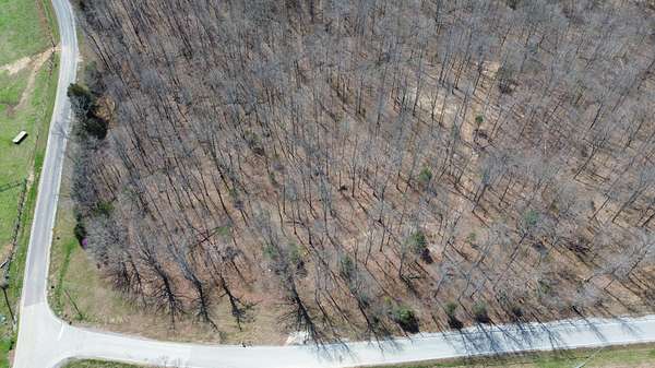 92 Acres of Land for Sale in Bowling Green, Kentucky