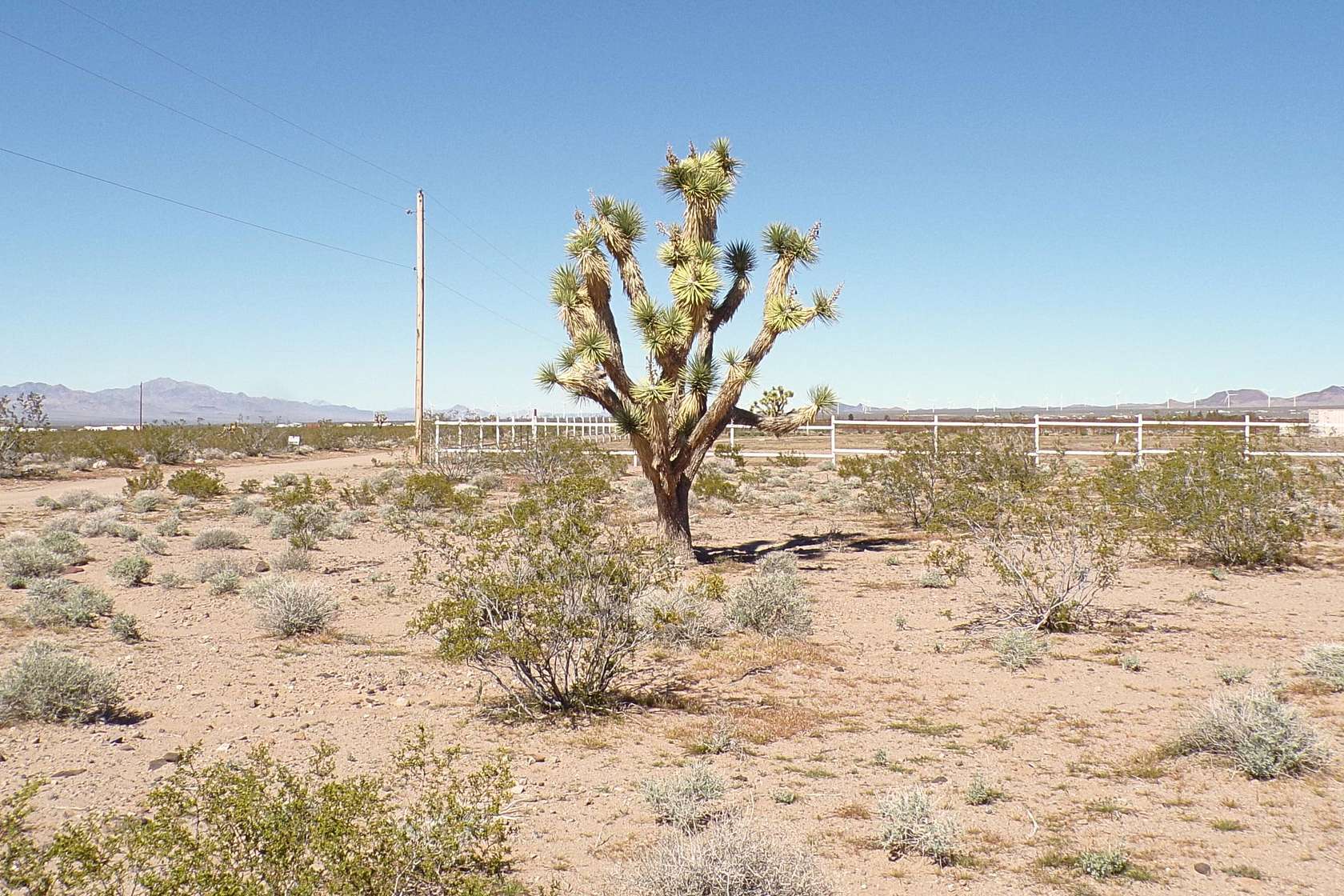 1.18 Acres of Residential Land for Sale in Willow Beach, Arizona