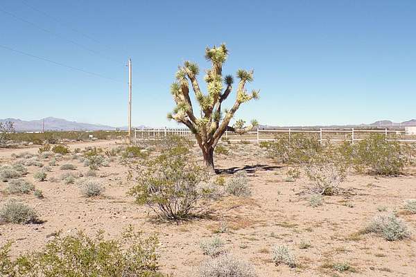 1.18 Acres of Residential Land for Sale in Willow Beach, Arizona