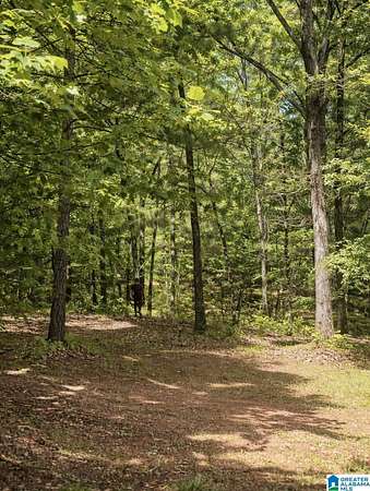 3.82 Acres of Residential Land for Sale in Chelsea, Alabama