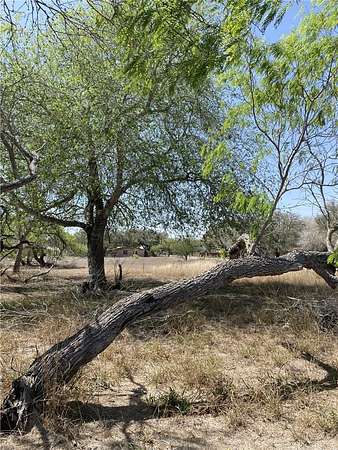 0.49 Acres of Residential Land for Sale in Premont, Texas