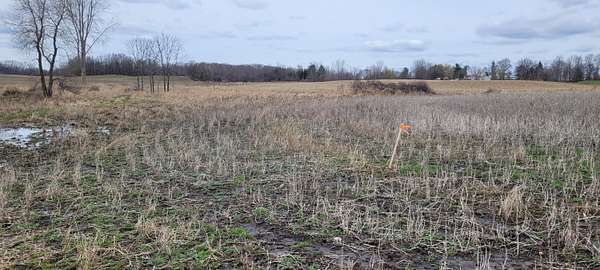 1.87 Acres of Land for Sale in Lake Odessa, Michigan