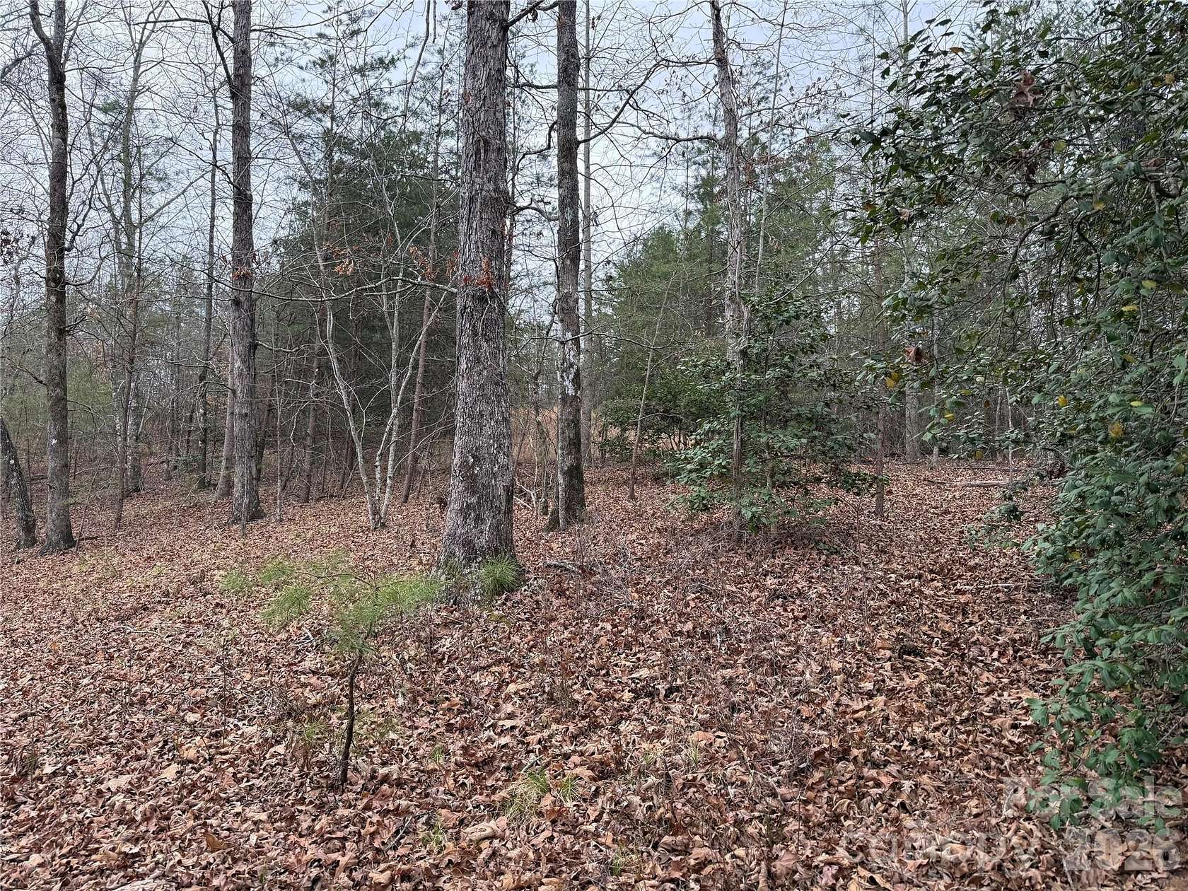 3.35 Acres of Residential Land for Sale in Rutherfordton, North Carolina
