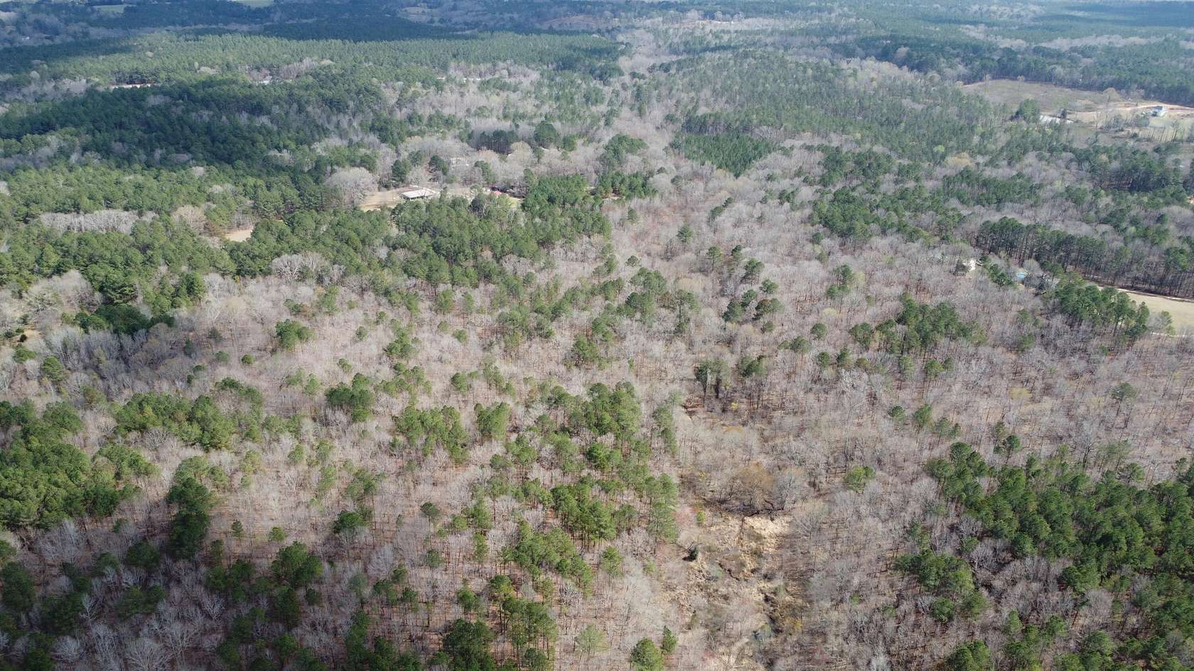 27.2 Acres of Land for Sale in Lincolnton, Georgia