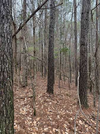 2.49 Acres of Residential Land for Sale in Ackerman, Mississippi