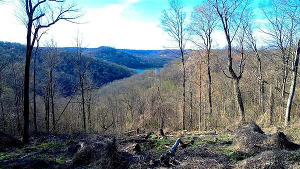 0.8 Acres of Residential Land for Sale in Smithville, Tennessee