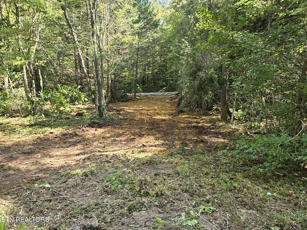 35 Acres of Recreational Land for Sale in Mooresburg, Tennessee