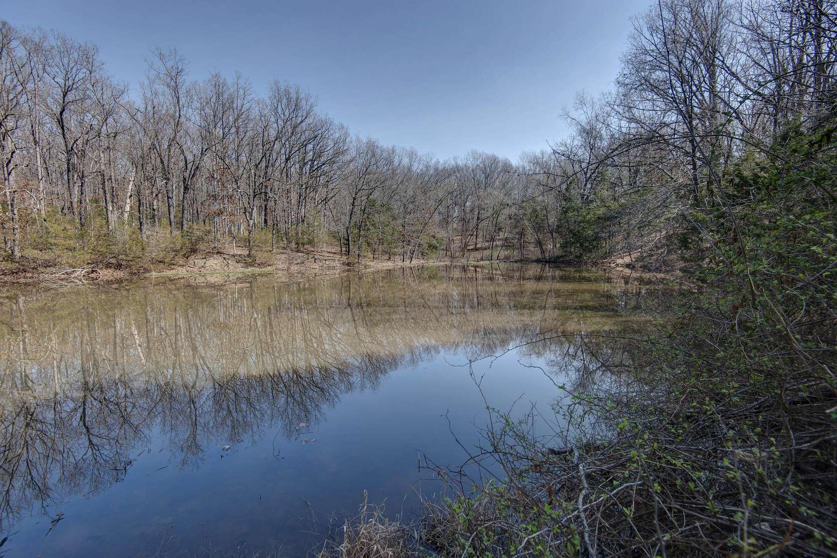 34 Acres of Land for Sale in Elkland, Missouri