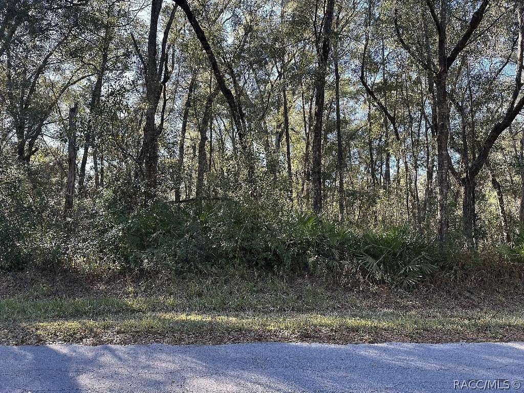 0.22 Acres of Residential Land for Sale in Inverness, Florida