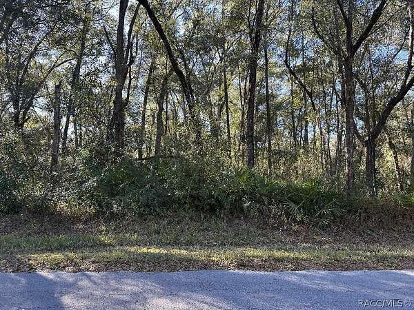 0.22 Acres of Residential Land for Sale in Inverness, Florida