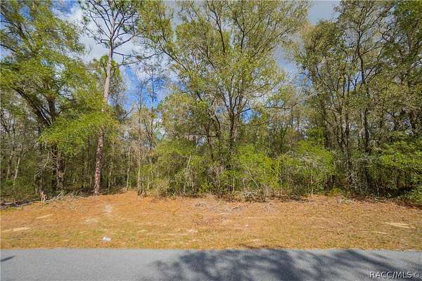 0.25 Acres of Land for Sale in Citrus Springs, Florida