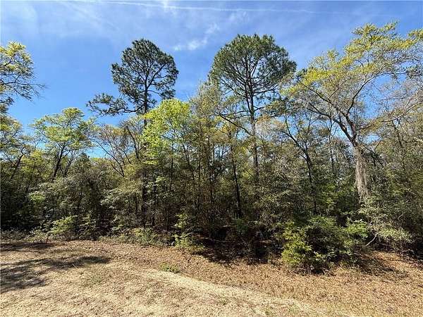 0.55 Acres of Residential Land for Sale in Waverly, Georgia