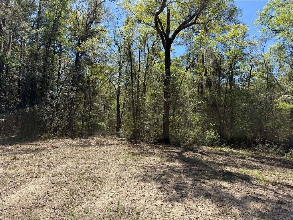 0.53 Acres of Residential Land for Sale in Waverly, Georgia