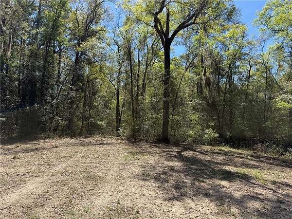 0.53 Acres of Residential Land for Sale in Waverly, Georgia