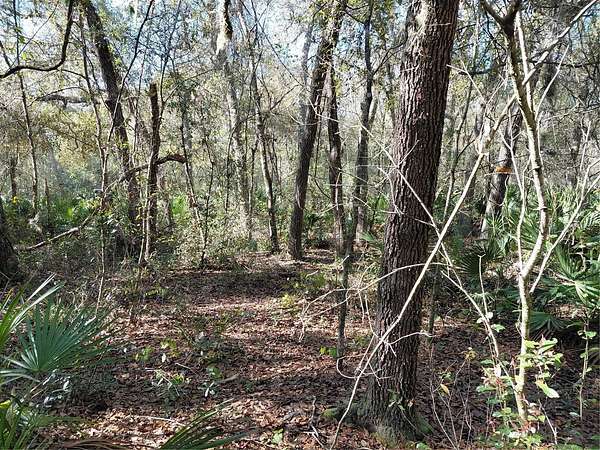 1.15 Acres of Residential Land for Sale in Webster, Florida
