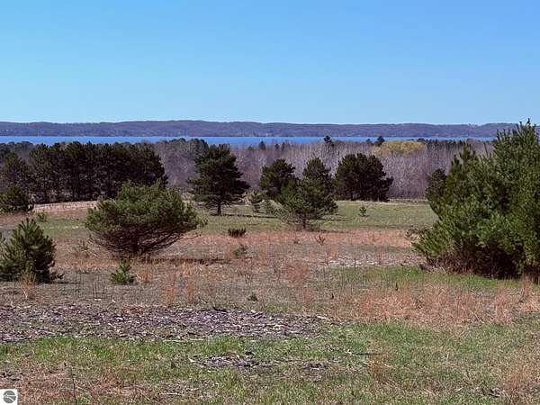 23 Acres of Land for Sale in Alden, Michigan