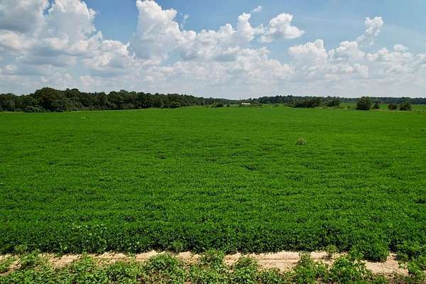 3.4 Acres of Residential Land for Sale in Newton, Alabama