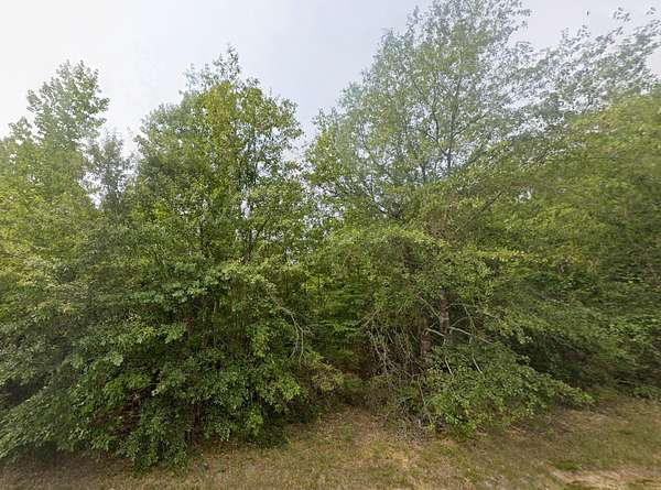 6.5 Acres of Land for Sale in Butler, Georgia