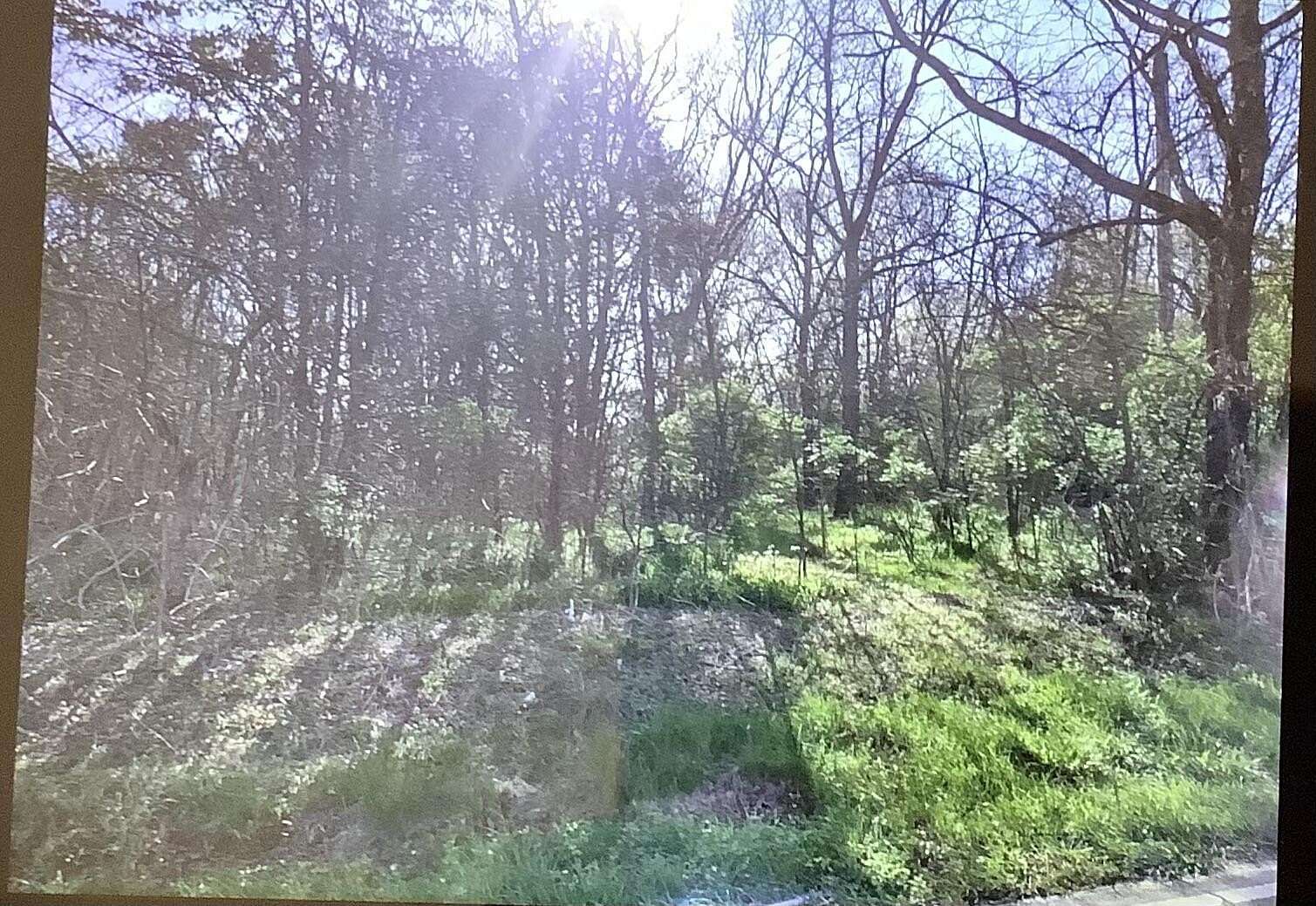 18 Acres of Land for Sale in Ringgold, Georgia