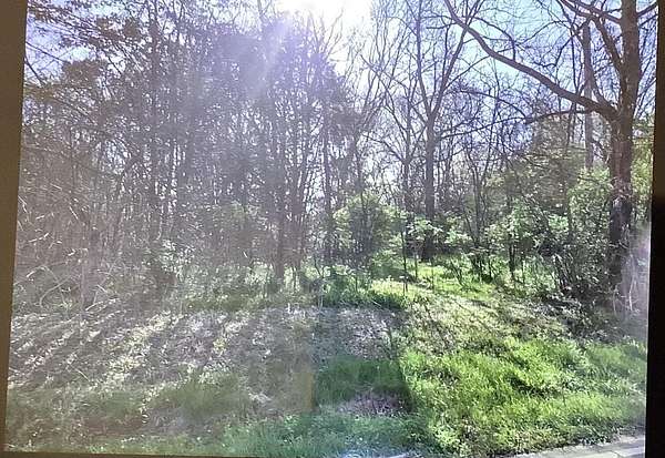 18 Acres of Land for Sale in Ringgold, Georgia