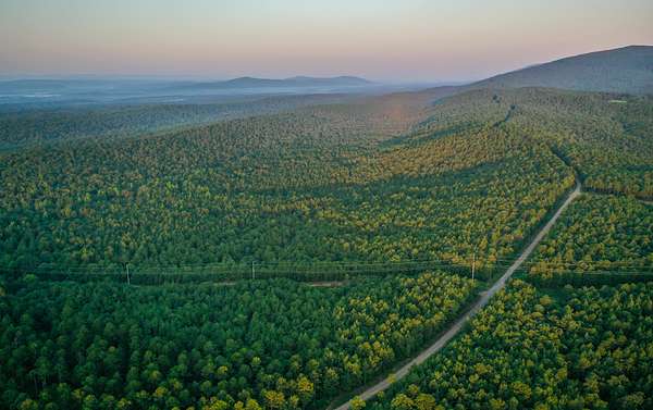 1,060 Acres of Land for Sale in Waldron, Arkansas