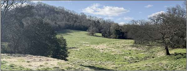 8 Acres of Land for Auction in Bethpage, Tennessee