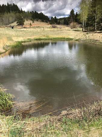 4.24 Acres of Residential Land for Sale in Divide, Colorado