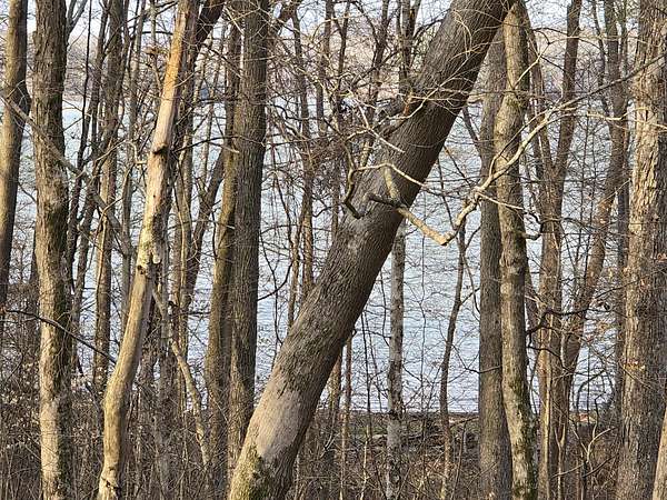 0.03 Acres of Residential Land for Sale in Cadiz, Kentucky