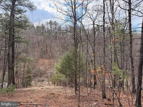 3.37 Acres of Land with Home for Sale in Mount Jackson, Virginia