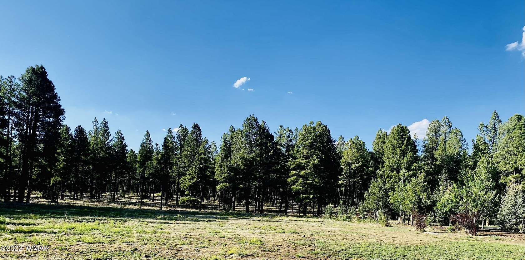 1 Acre of Residential Land for Sale in Pinetop, Arizona