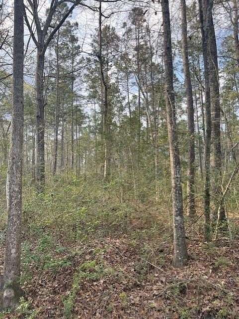 25 Acres of Land for Sale in Huntington, Texas