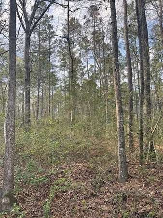 25 Acres of Land for Sale in Huntington, Texas