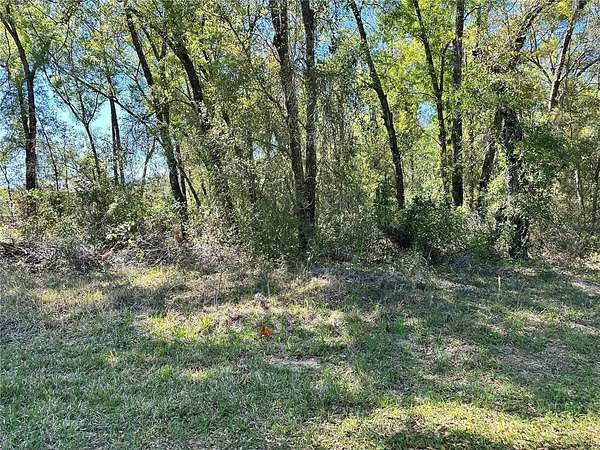 0.22 Acres of Residential Land for Sale in Inverness, Florida