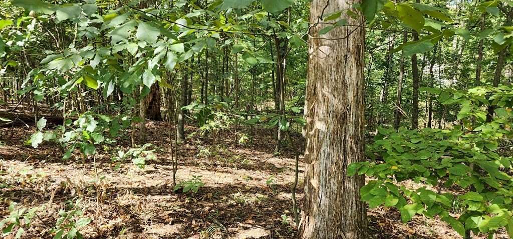 0.27 Acres of Residential Land for Sale in Camden, Tennessee