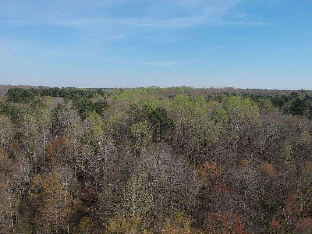 73.5 Acres of Recreational & Residential Land for Sale in Covington, Georgia