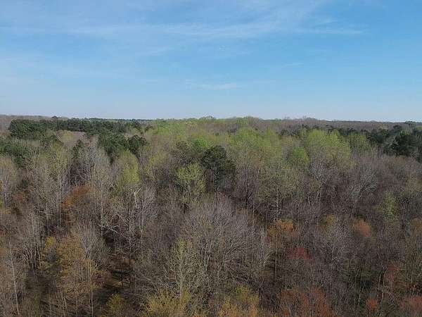 73.5 Acres of Recreational & Residential Land for Sale in Covington, Georgia