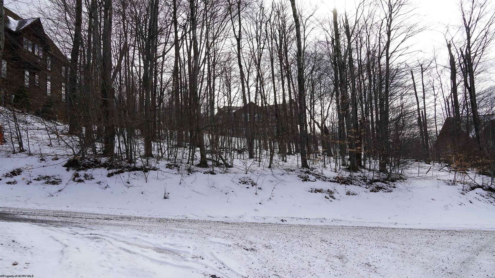 0.31 Acres of Residential Land for Sale in Davis, West Virginia